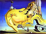 Salvador Dali Canvas Paintings - The Great Masturbator